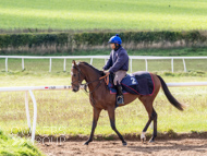 HC240925-11 - Rousham